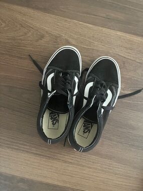 Vans Black and White Low-Top Skate Sneakers